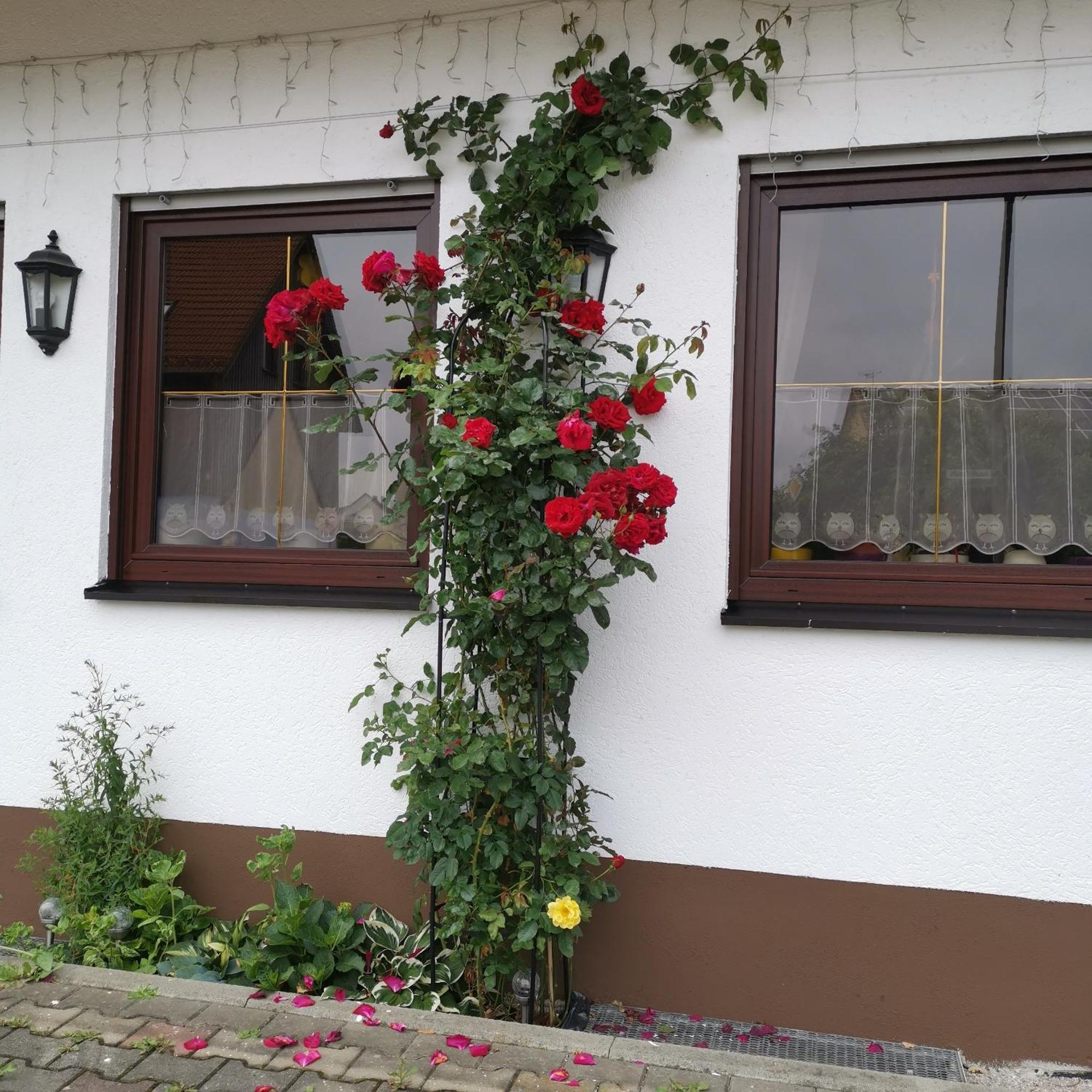 Frankenstube-Winkelhaid Exteriör bild